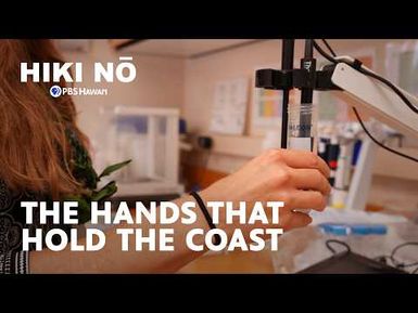 How Water Sample Collection Helps Understand a Kona Low Storm in Hawai'i | HIKI NŌ on PBS Hawaiʻi
