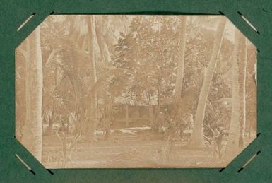 Building seen through trees. From the album: Banaba (Ocean Island)