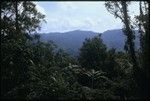 Landscape scenery