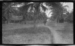 People walking on a path