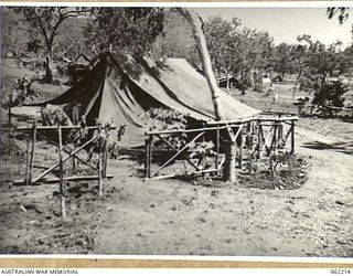 PORT MORESBY, PAPUA, NEW GUINEA. 1943-10-31. FENCE AND GARDEN AROUND A TENT AT HEADQUARTERS, NEW GUINEA FORCE