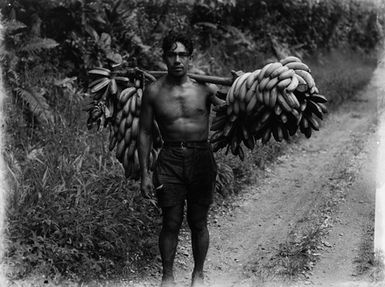 [Portrait of man holding bunches of bananas]