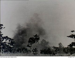 1942-12-11. PAPUA - GONA. ALLIED PLANES BOMB JAPANESE POSITIONS. PICTURE SHOWS BOMB BURST IN FRINGE OF BUSH SURROUNDING GONA