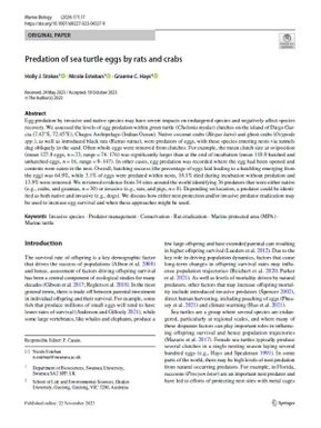 Predation of sea turtle eggs by rats and crabs