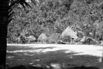 Houses around central malae, Fagaloa Bay