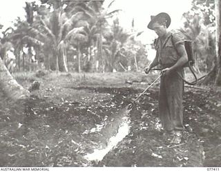 MALMAL MISSION, JACQUINOT BAY, NEW BRITAIN. 1944-11-30. VX70225 PRIVATE M. BARTLETT, HEADQUARTERS, 5TH DIVISION, SPRAYING DRAINS AND POOLS AROUND THE CAMP WITH MALARIAL TO DESTROY MOSQUITO LARVAE