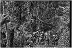 Pig festival, stake-planting, Tuguma: men watch as fight package is rubbed on tree to be felled at enemy boundary