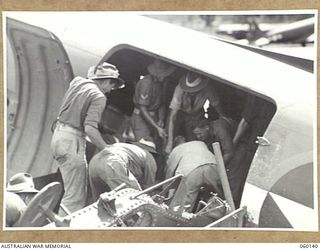 WARD'S DROME, NEW GUINEA. 1943-11-16. TROOPS OF THE 2/5TH AUSTRALIAN FIELD REGIMENT, 7TH AUSTRALIAN DIVISION.LIFTING THE BARREL OF A LONG 25-POUNDER GUN INTO A DOUGLAS TRANSPORT AIRCRAFT, DURING AN ..