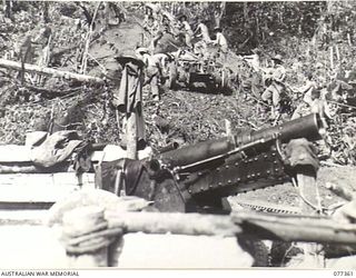 BOUGAINVILLE ISLAND. 1944-12-01. GUNNERS OF NO. 12 BATTERY, 4TH FIELD REGIMENT MANHANDLING THEIR 25 POUNDER GUNS INTO POSITION ON BENCHES CUT OUT OF THE SIDE OF A HILL ON THE RIGHT BANK OF THE ..