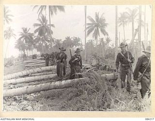 SUAIN PLANTATION, NEW GUINEA. 1944-12-06. MEMBERS OF A COMPANY, 2/4 INFANTRY BATTALION RETURNING FROM A PATROL OF THE DANMAP RIVER VIA THE OLD GERMAN TRACK. IDENTIFIED PERSONNEL ARE:- PRIVATE D.C. ..