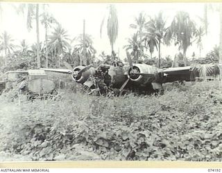 HANSA BAY, NEW GUINEA. 1944-06-21. THE BURNT OUT WREAKAGE OF A JAPANESE TWIN ENGINED BOMBER FOUND ON THE EDGE OF THE LANDING STRIP