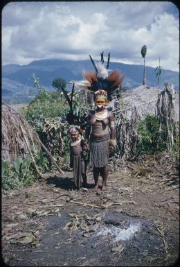 The bride and Luluai Wamdi's son Mek : Wahgi Valley, Papua New Guinea, 1955 / Terence and Margaret Spencer