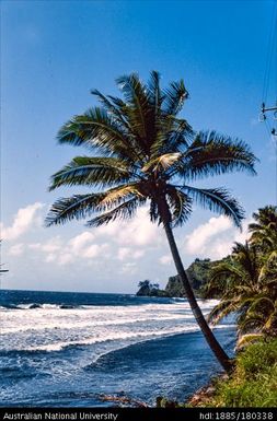 Tahiti - north coast near Papenoo