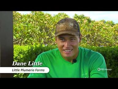 Little Plumeria Farms