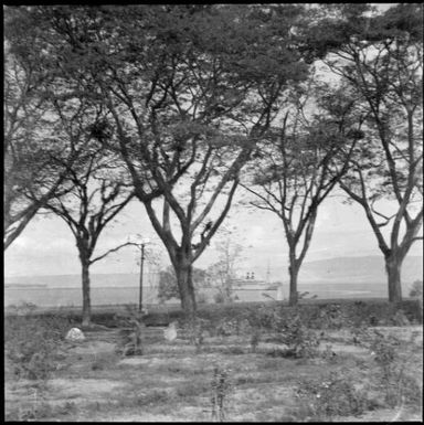 View across the Chinnery garden towards the harbour with one ship visible, Malaguna Road, Rabaul, New Guinea, ca. 1936 / Sarah Chinnery