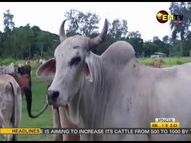 NATIONAL EMTV NEWS , MONDAY 11th MARCH, 2024