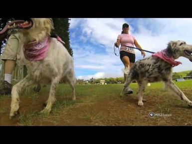 PBS Hawaii - HIKI NŌ Episode 712 | Hawaii Preparatory Academy | BK Fun Run