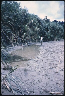 Screw River (anopheline mosquito stream-breeding) (6) : Maprik, Papua New Guinea,1959 / Terence and Margaret Spencer