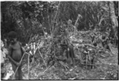 Pig festival, pig sacrifice, Tsembaga: elevated and earth ovens in ancestral shrine, for cooking sacrifical pigs