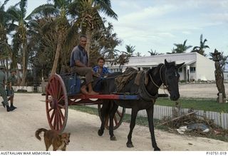 Local transport passing the hospital. This image relates to the service of Michael Church, 17 Construction Squadron, who was a member of the Cyclone Isaac mission in 1982, in Tonga.  Cyclone Isaac ..