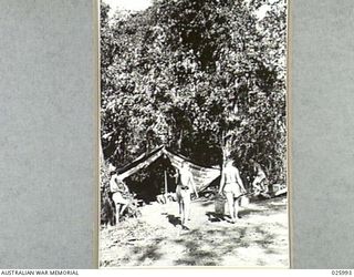 PAPUA, NEW GUINEA. 1942-07-20. AUSTRALIAN TROOPS DOING THEIR DOMESTIC CHORES NEAR THEIR TENT IN THE NEW GUINEA JUNGLE