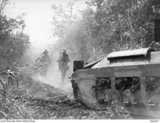 SATTELBERG AREA, NEW GUINEA. 1943-11-17. TROOPS OF THE 2/48TH AUSTRALIAN INFANTRY BATTALION MOVING THROUGH THICK TROPICAL UNDERGROWTH BEHIND AN ADVANCING TANK OF THE 1ST AUSTRALIAN ARMY TANK ..