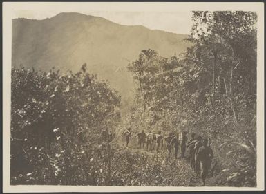 Papua New Guinean bearers walking on a trail, Papua New Guinea, ca. 1922 / Frank Hurley