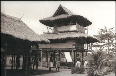 Inland houses (1) : Goodenough Island, D'Entrecasteaux Islands, Papua New Guinea, 1956-1958 / Terence and Margaret Spencer