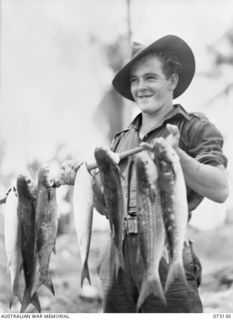 ALEXISHAFEN, NEW GUINEA. 1944-05-11. QX59744 PRIVATE C.L. WALKER, 8TH INFANTRY BRIGADE, PROUDLY DISPLAYING SAND MULLET HE HAS CAUGHT. FRESH FISH PROVIDE A VARIATION FROM THE TINNED MEAT SUPPLIED TO ..