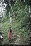 Father Laughman and boys coming down hillside steps