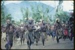 Pig festival, pig sacrifice, Kwiop: men with spears and axes charge at ritual fence