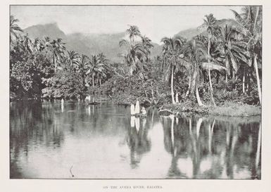 On the Avera River Raiatea