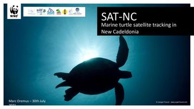 SAT-NC - Marine turtle satellite tracking in New Caledonia