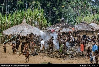 Kotuni - mumu (earth oven)