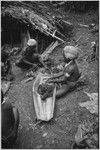 Pig festival, uprooting cordyline ritual, Tsembaga: men strip seeds from red pandanus fruit, to be eaten or squeezed for oily juice