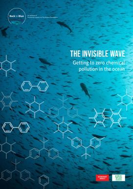 The Invisible Wave - Getting to Zero Chemical Pollution in the Ocean