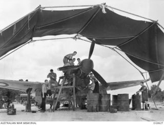 KIRIWINA, TROBRIAND ISLANDS, PAPUA. 1944-01-31. A KITTYHAWK AIRCRAFT OF NO. 76 SQUADRON RAAF UNDERGOING MAJOR MAINTENANCE BY MEMBERS OF NO. 12 REPAIR AND SALVAGE UNIT RAAF BEHIND THE BATTLE LINE AT ..