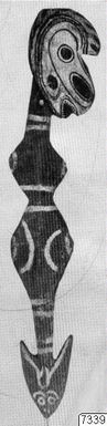 ["krok, fotografi, photograph"]