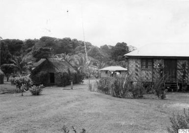 house, tree, photograph, ph