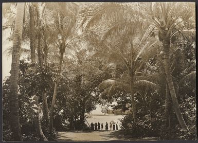 Coastal scene, Vanuatu