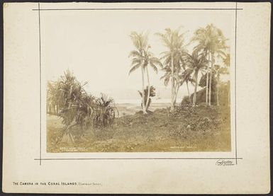 Near Suva, Fiji