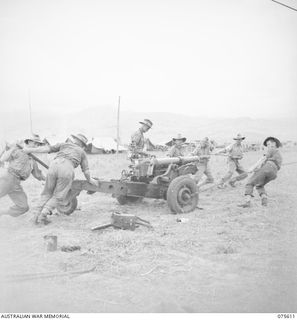 MARKHAM VALLEY, NEW GUINEA. 1944-08-28. A GUN CREW OF 12 BATTERY, 4TH FIELD REGIMENT, MANHANDLING A SHORT 25 POUNDER DURING A TRAINING EXERCISE. IDENTIFIED PERSONNEL ARE;VX73652 BOMBARDIER S.C. ..