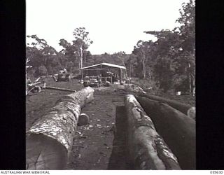 DONADABU, NEW GUINEA. 1943-11-09. GENERAL VIEW OF THE MILL SHOWING LOGS THAT WILL BE SAWN INTO VALUABLE TIMBER AT THE EILOGO SAWMILL WHICH IS OPERATED BY THE 9TH AUSTRALIAN WORKSHOP AND PARK ..