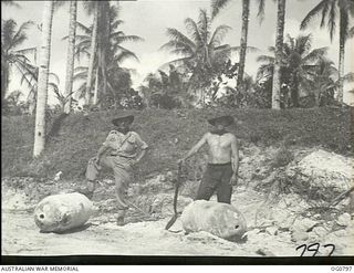 LOS NEGROS ISLAND, ADMIRALTY ISLANDS. 1944-03-18. THESE 1000LB BOMBS DROPPED IN THE BOMBING WHICH PRECEDED THE RAAF LANDINGS FAILED TO EXPLODE AND AS THEY WERE CLOSE TO THE STRIP THEY HAD TO BE ..