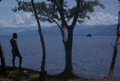 [Man standing beside tree, Papua New Guinea]