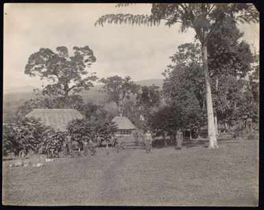 Avele looking from School hill towards playground