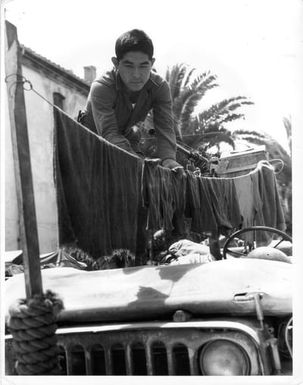 Nisei soldier