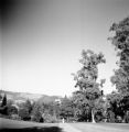 Berkeley (California), Berkeley campus between Library and Agriculture buildings