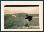View of Bulwa-Baiune Road near Baiune camp, showing a dog in foreground and mountain ranges in background, Baiune, New Guinea, c1929 to 1932