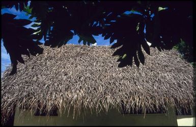 Flax roof, Aitutaki